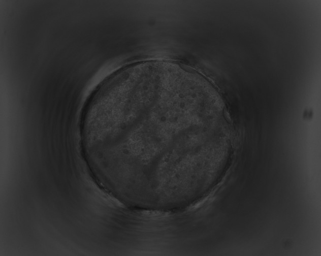X0000091890198200710031148