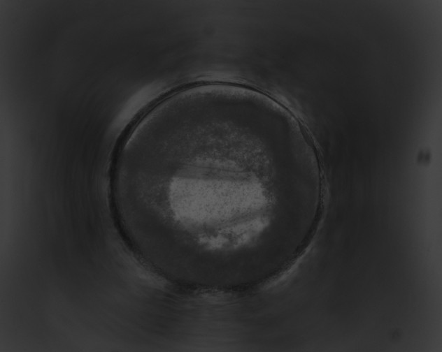 X0000091890199200710031148