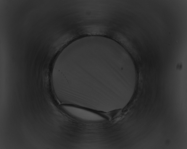 X0000091890202200710031148