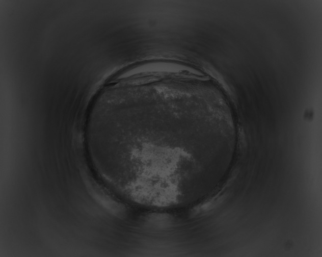 X0000091890203200710031148