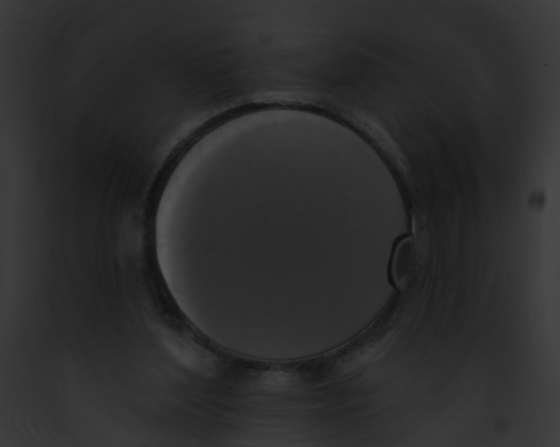 X0000091890204200710031148
