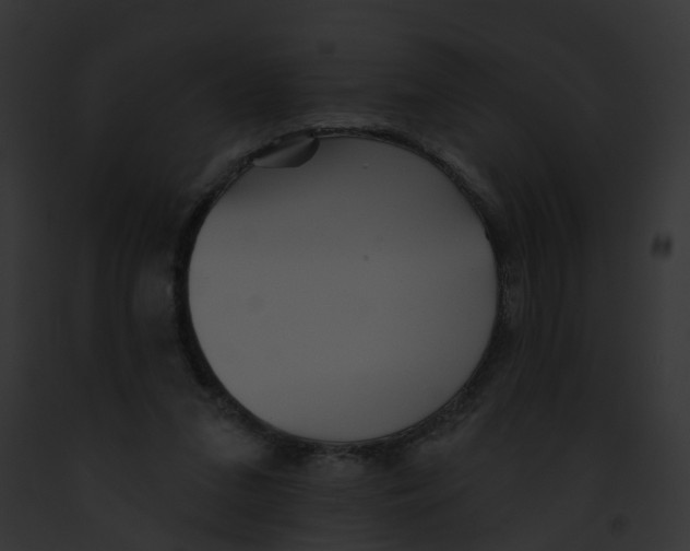 X0000091890207200710031148