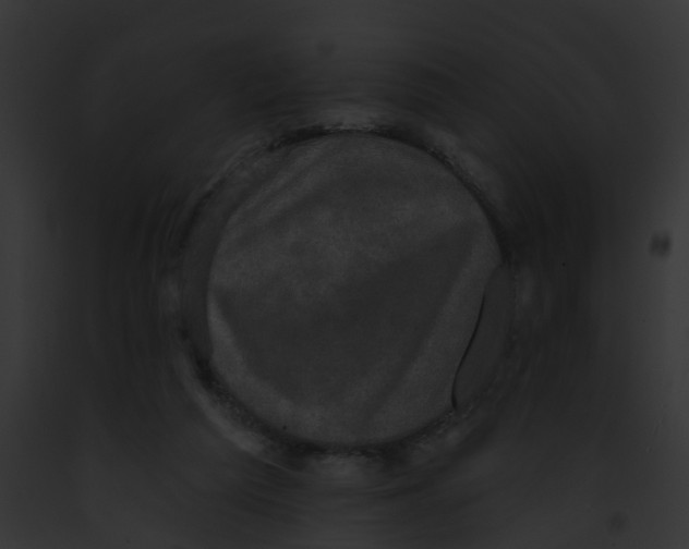 X0000091890209200710031148