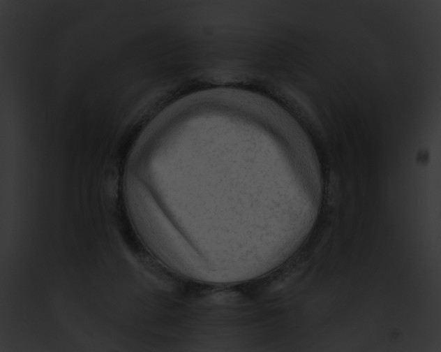 X0000091890210200710031148