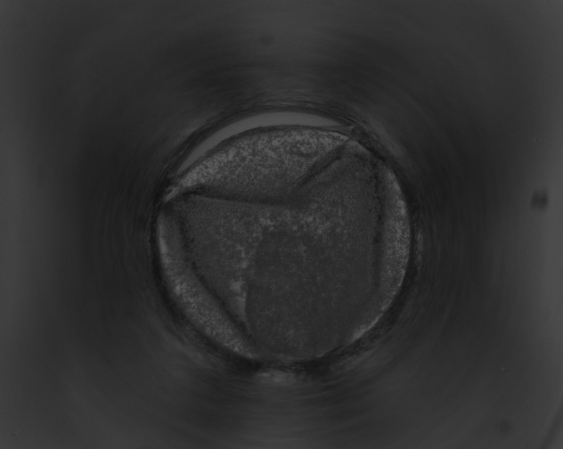 X0000091890211200710031148