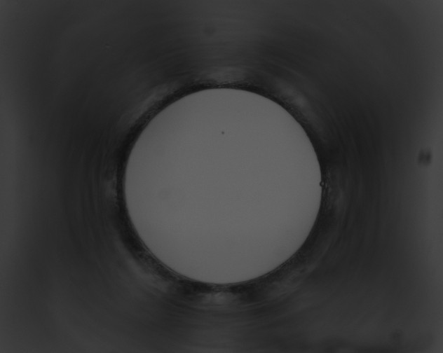 X0000091890212200710031148