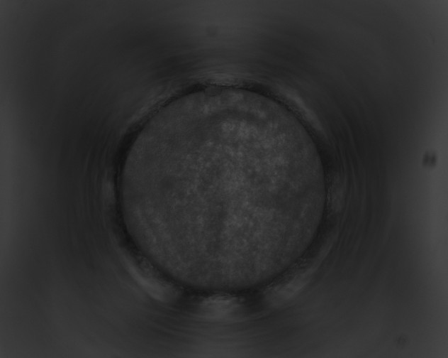 X0000091890213200710031148