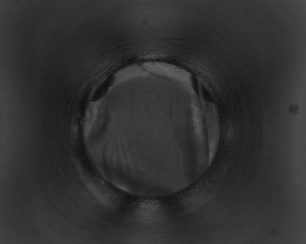 X0000091890214200710031148