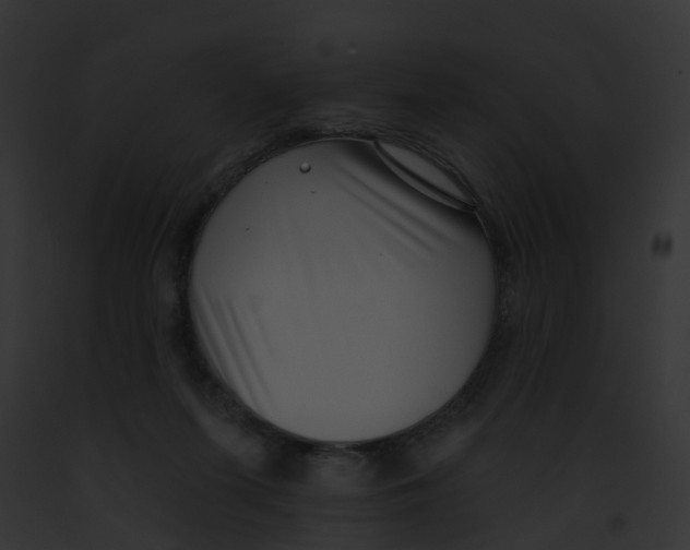 X0000091890215200710031148