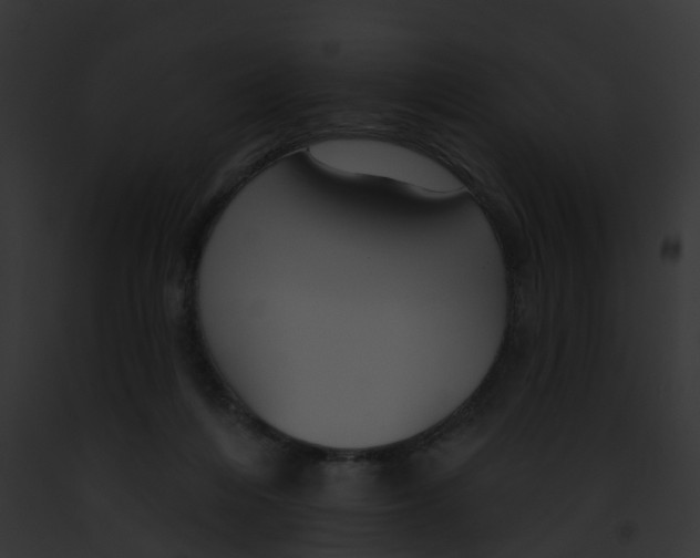 X0000091890216200710031148