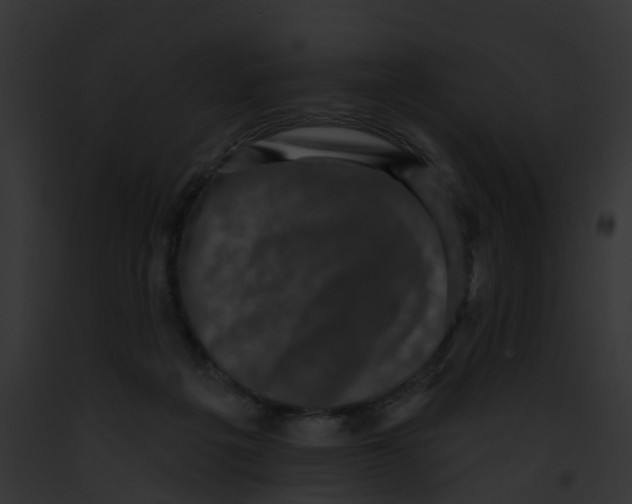 X0000091890217200710031148