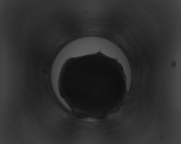 X0000091890219200710031148