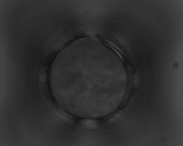 X0000091890221200710031148