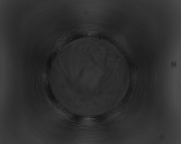 X0000091890222200710031148