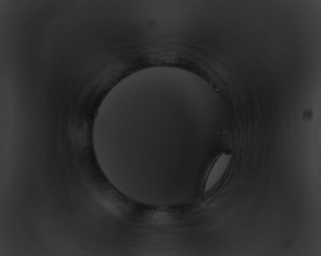 X0000091890224200710031148
