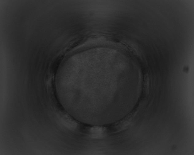 X0000091890225200710031148