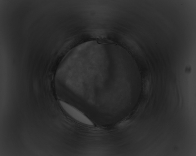 X0000091890229200710031148