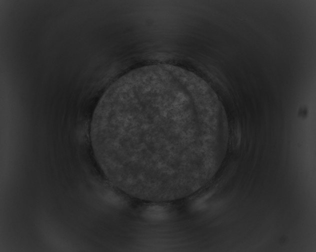 X0000091890236200710031148