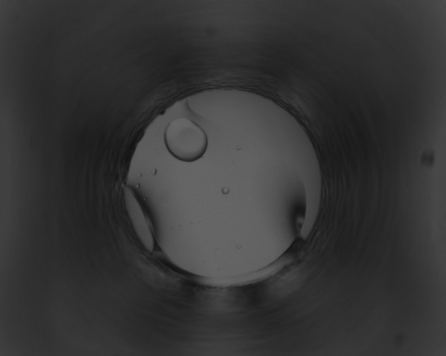 X0000091890237200710031148