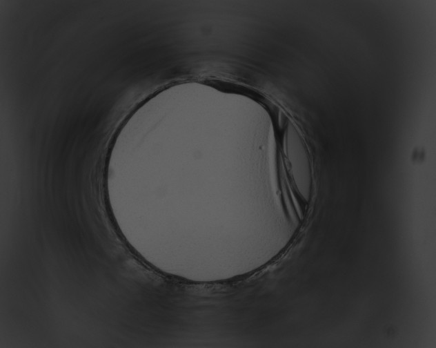 X0000091890241200710031147