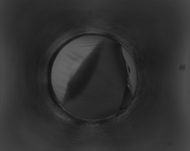 X0000091890247200710031147