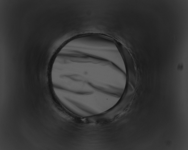 X0000091890248200710031147