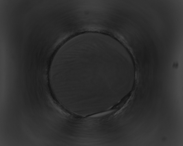 X0000091890249200710031147