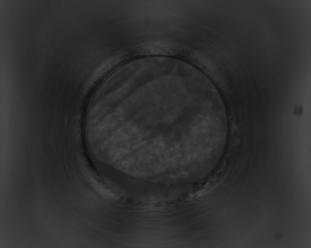 X0000091890250200710031147