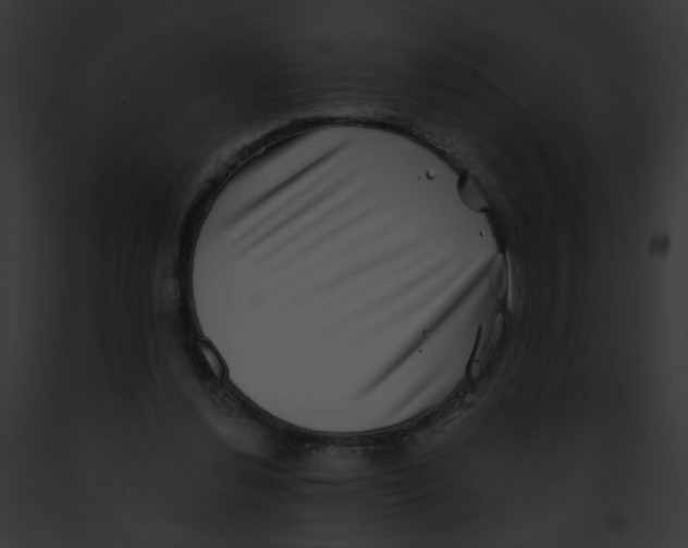X0000091890252200710031147