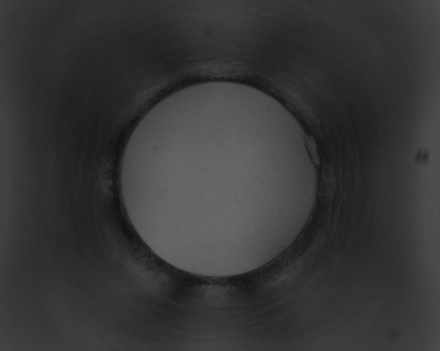 X0000091890255200710031147