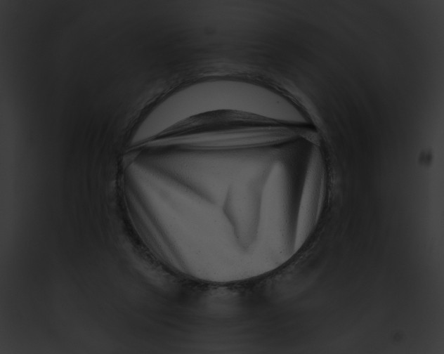 X0000091890257200710031147