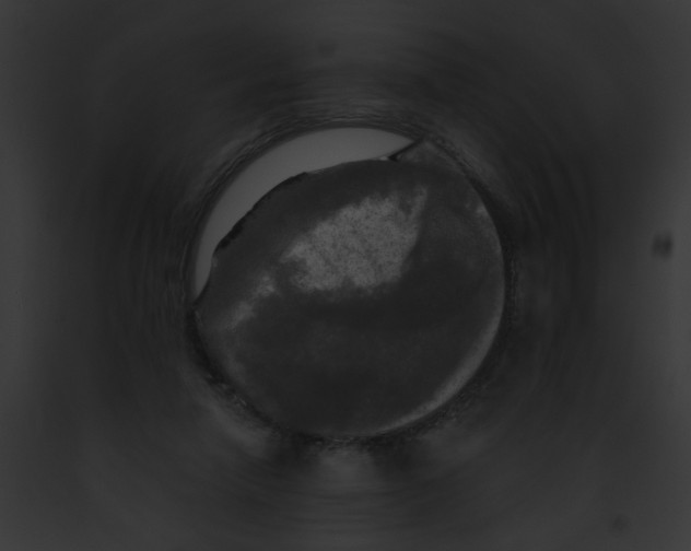 X0000091890258200710031147