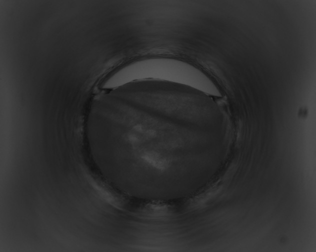 X0000091890260200710031147