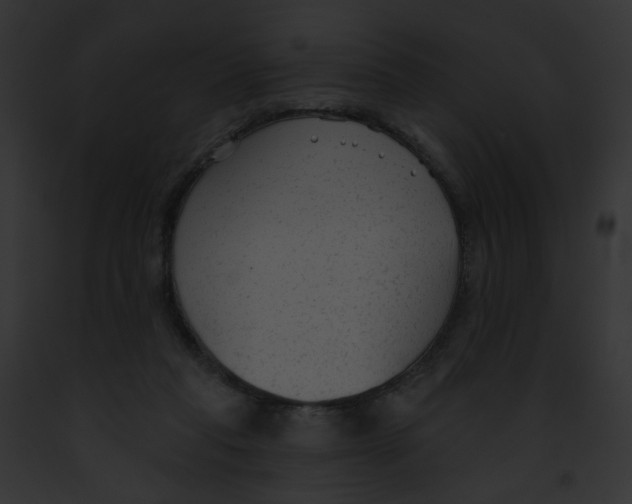 X0000091890261200710031147
