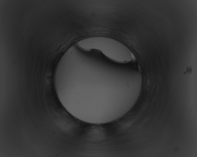X0000091890263200710031147