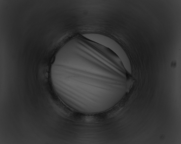 X0000091890264200710031147