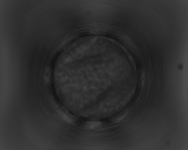 X0000091890266200710031147