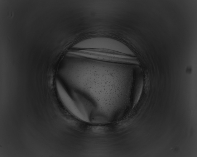 X0000091890268200710031147