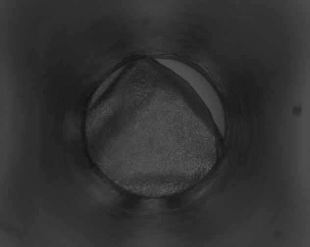 X0000091890269200710031147