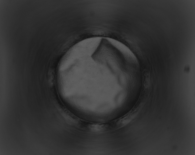 X0000091890273200710031147