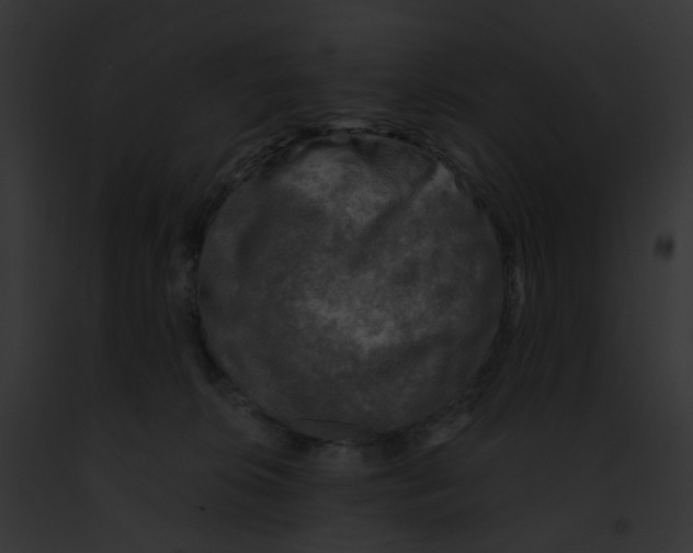 X0000091890276200710031147