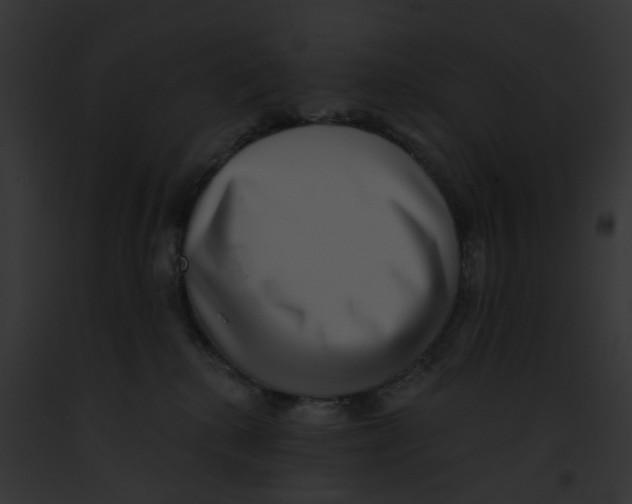 X0000091890280200710031148