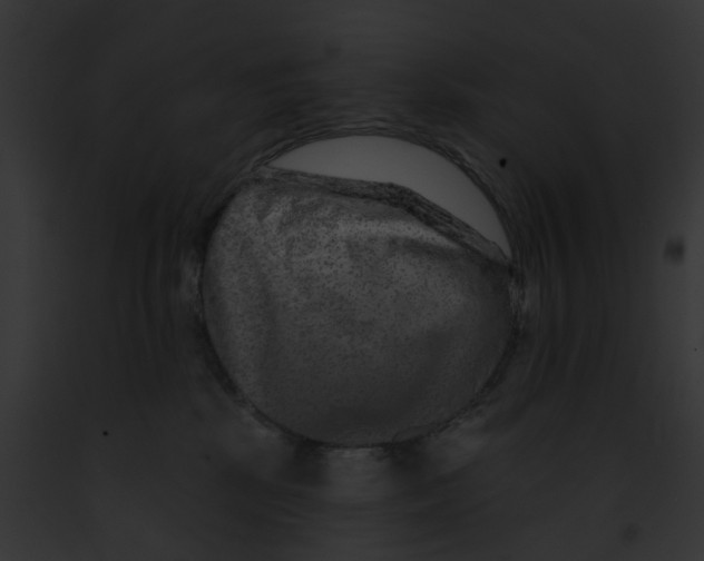 X0000091890281200710031148