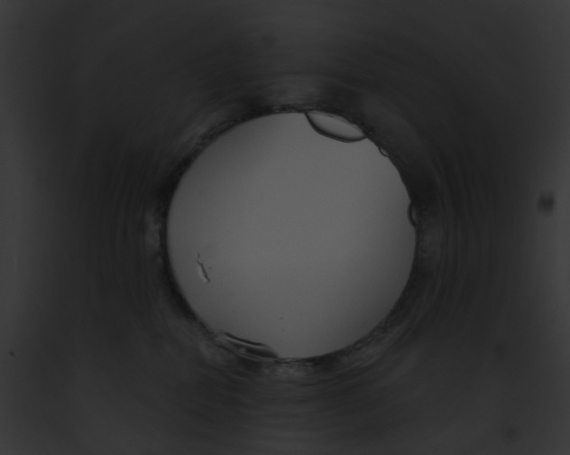 X0000091890282200710031148