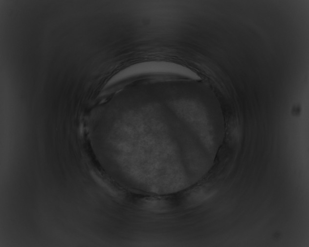 X0000091890284200710031148