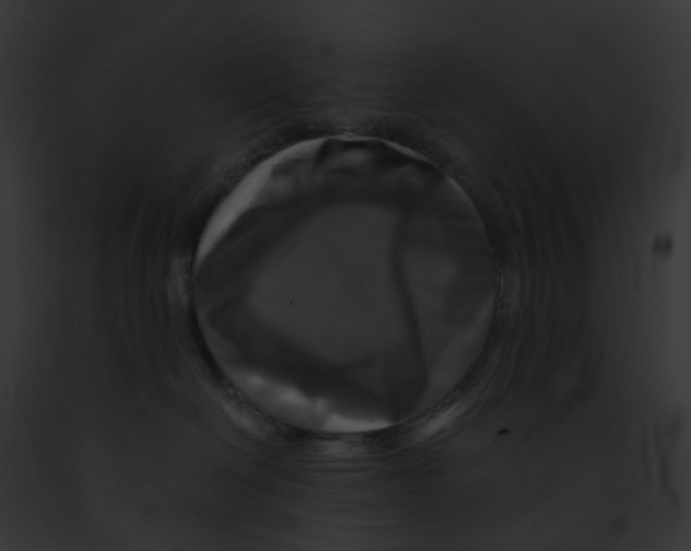X0000091890286200710031148