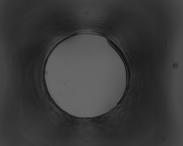 X0000091890289200710031147