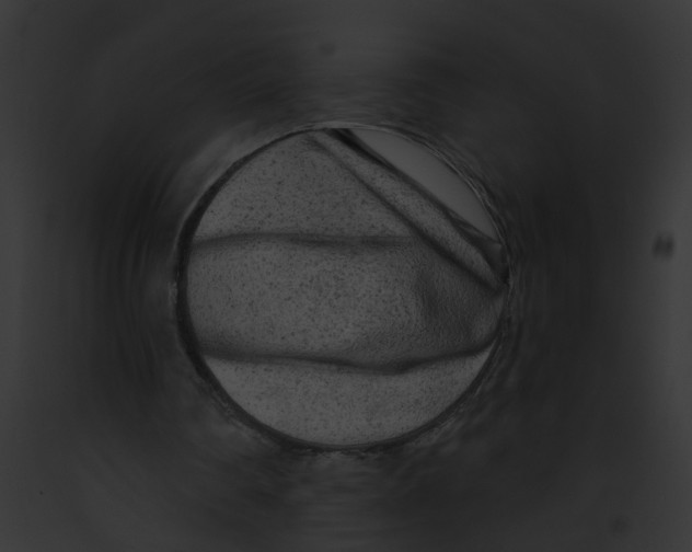 X0000091890290200710031147