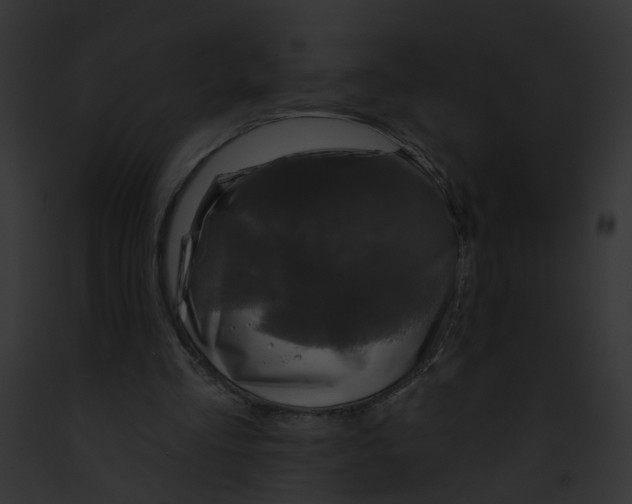 X0000091890293200710031147