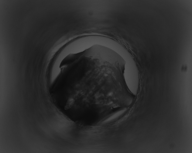 X0000091890295200710031147